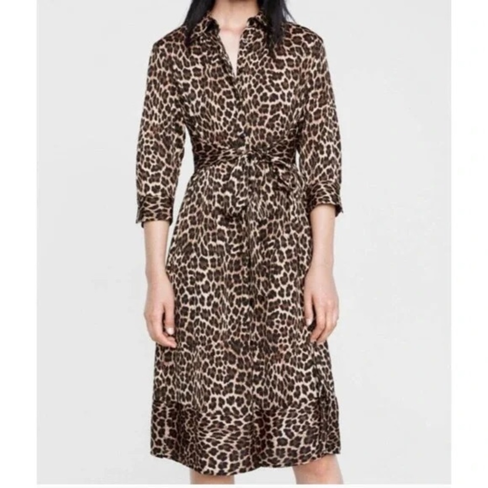 Zara Leopard Print Midi Dress